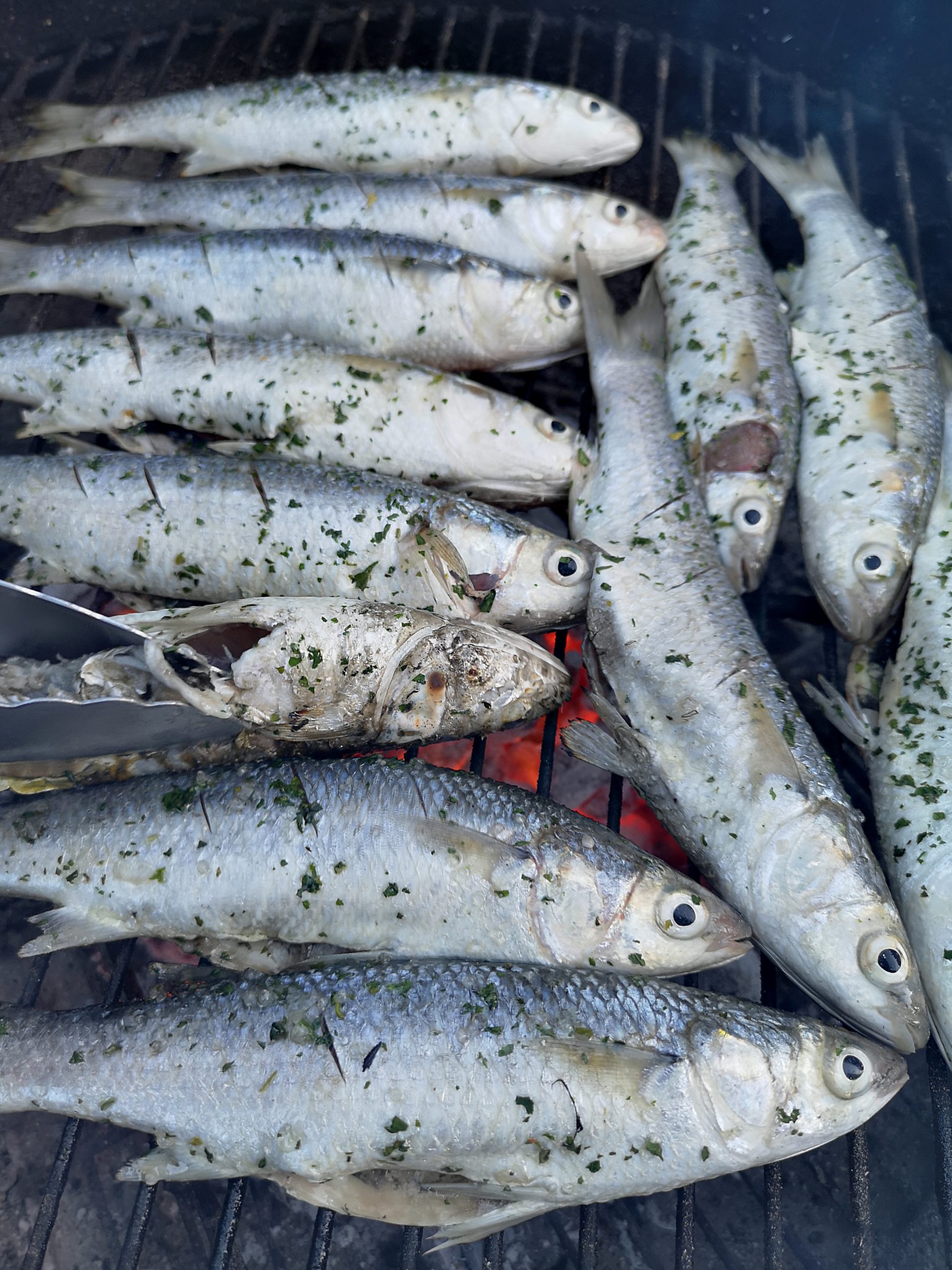Whole harders with parsley and coarse salt cooking on a grid over hot coals