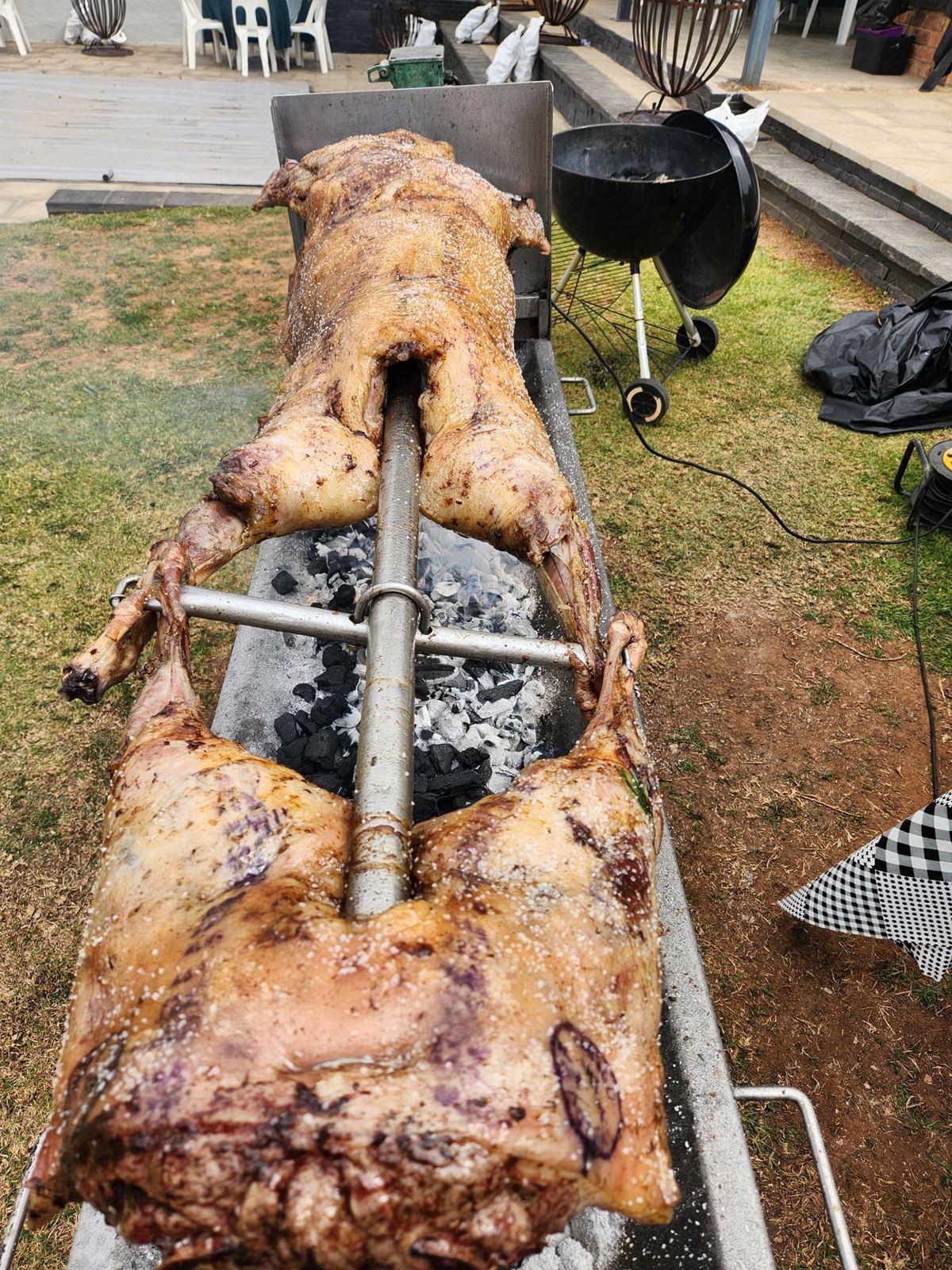 A whole lamb roasting on a spit over coals